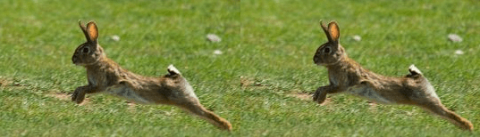 Captura de pantalla 2018-08-19 a les 17.58.50